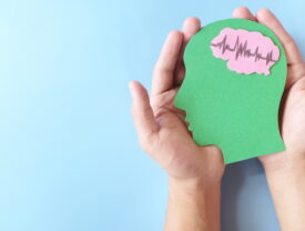 At What Age is the Human Brain Fully Developed?