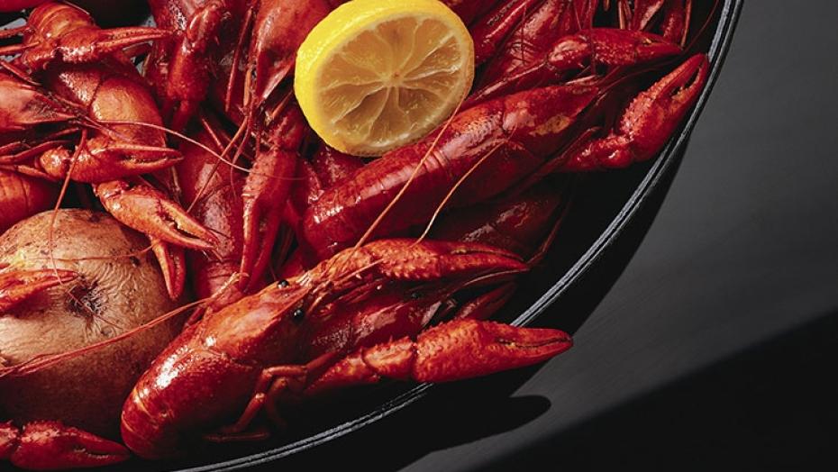 187940005 Crawfish 187940005 Crawfish