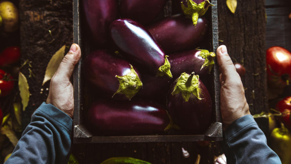 Eggplant