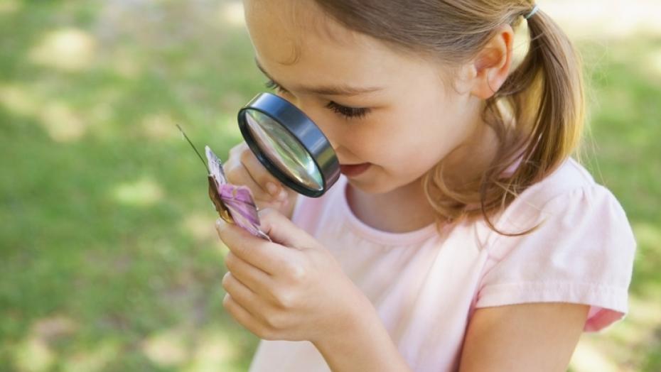 Thinkstockphotos 494378295 Girl Examining Butterfly Thinkstockphotos 494378295 Girl Examining Butterfly