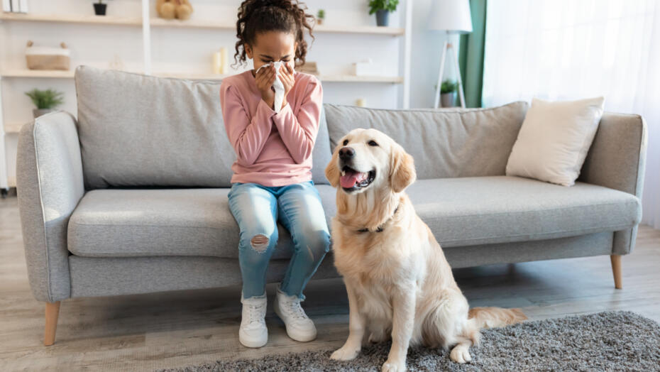Pet allergies Pet allergies