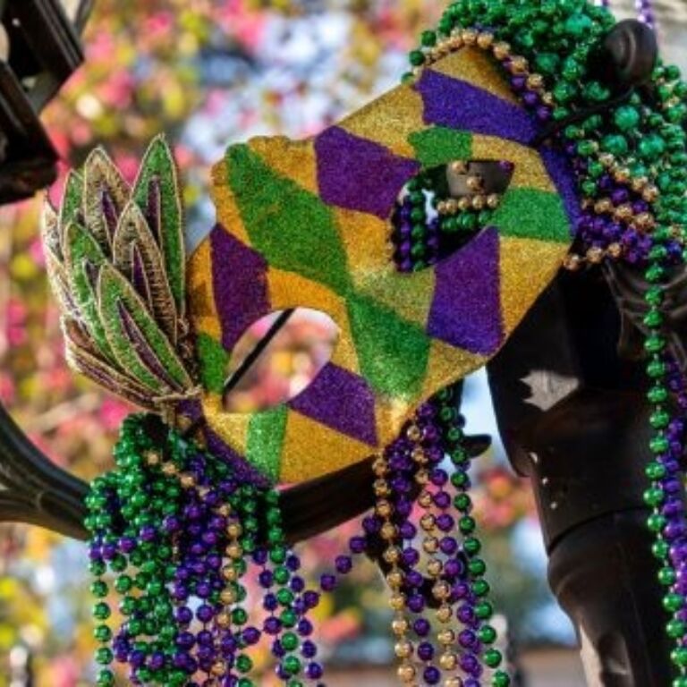 Mardi Gras Mask and Beads 1
