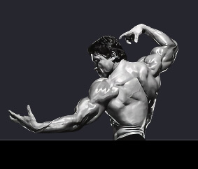 Arnold Schwarzenegger in a traditional bodybuilder pose