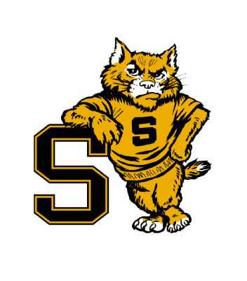 The St. James High School primary logo displays a stylized, fierce-looking wildcat mascot rendered in gold/yellow and black with white accents. The wildcat has an intense expression, fur details, and is wearing a gold athletic sweater emblazoned with a black letter