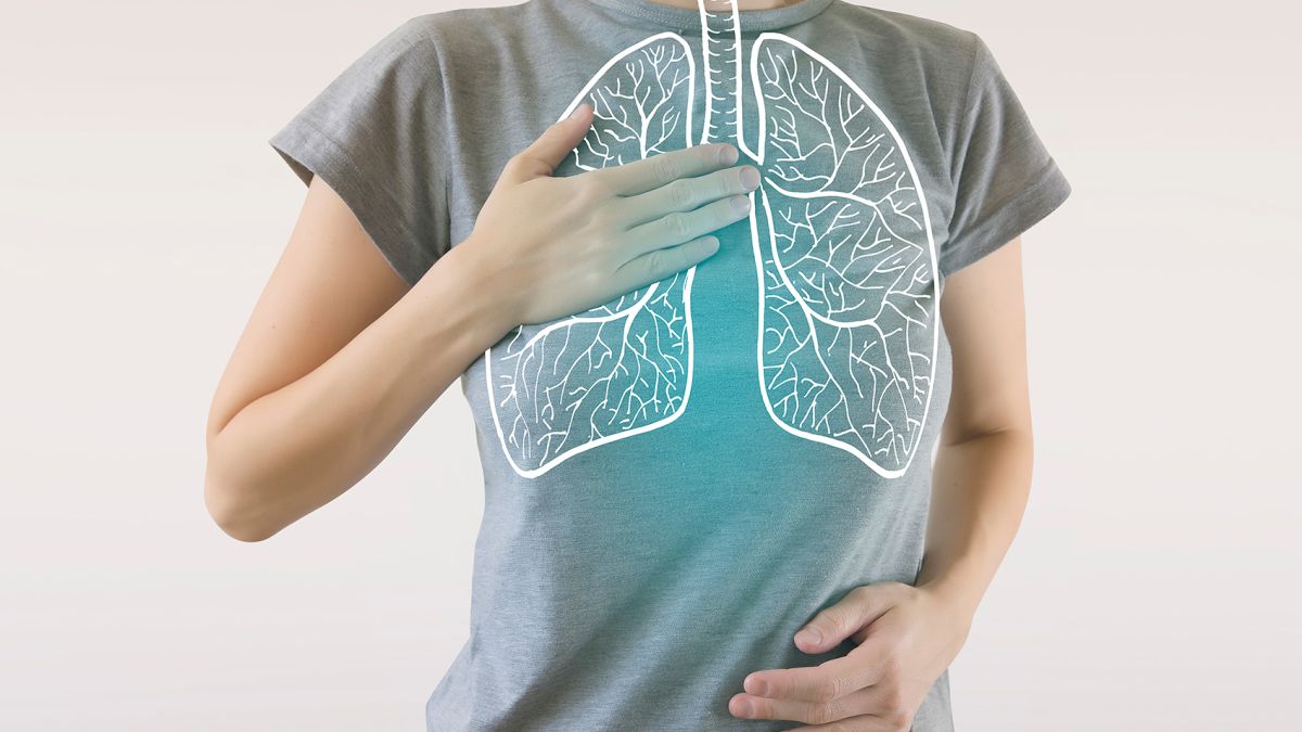 Lungs
