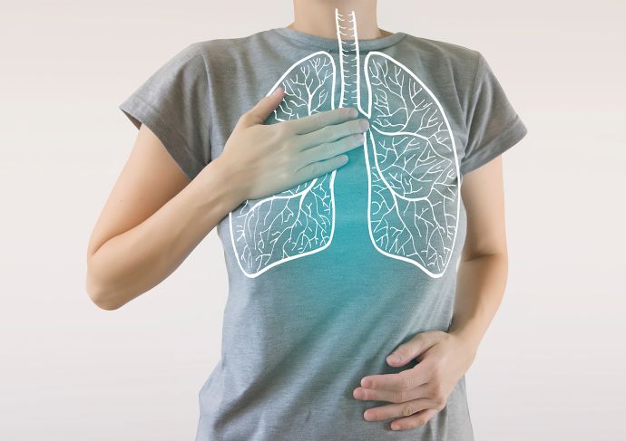 Lungs