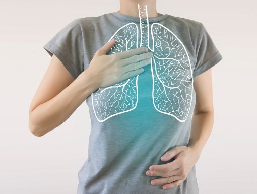 Lungs