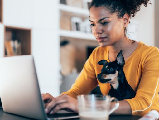 Woman looking at her computer with her dog