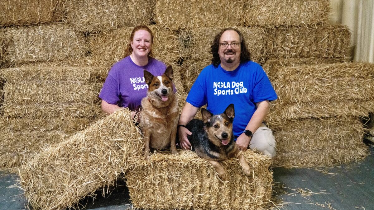 Appendix patient with wife and two dogs