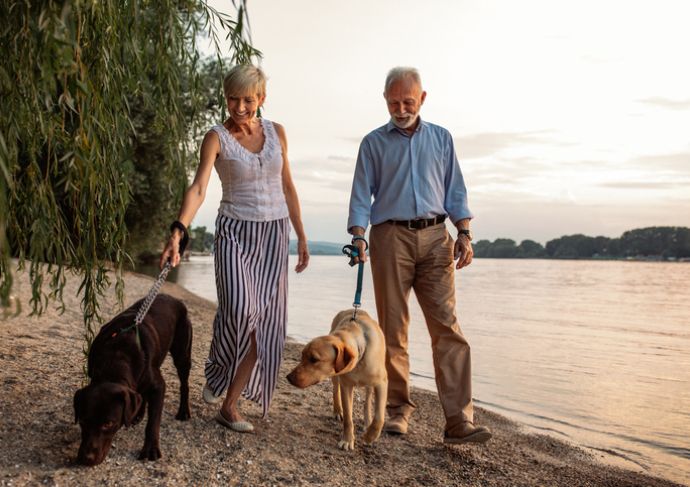 elderly man and woman walking dogs, participating in healthy activities to lower cancer risk