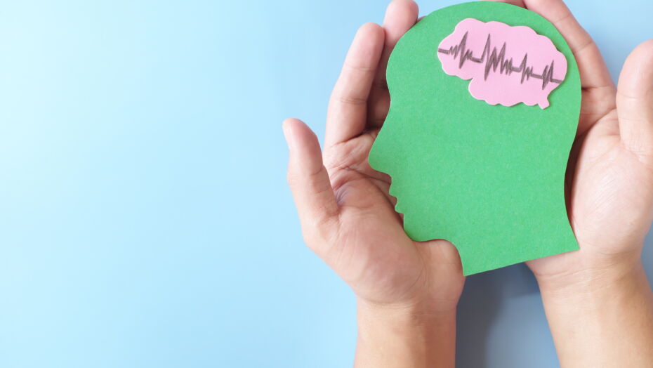 Brain cutout in hands