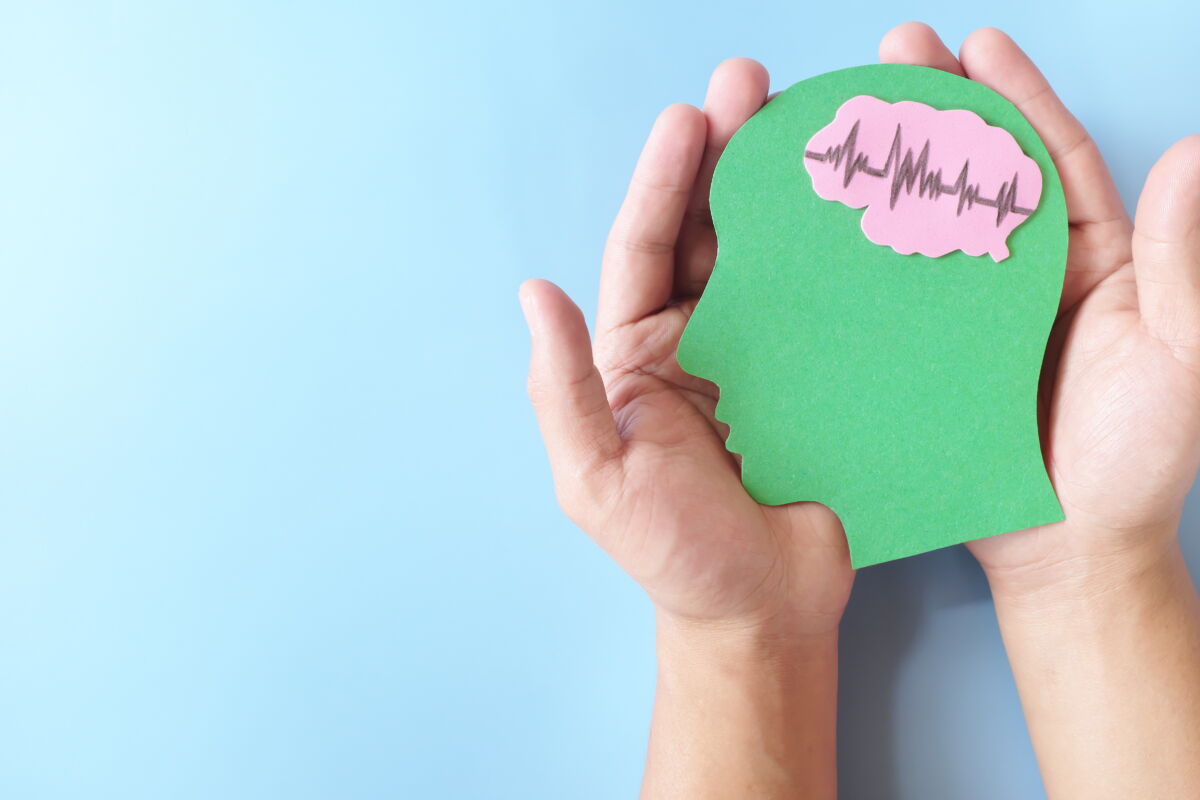 Brain cutout in hands