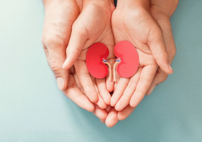 Living Kidney Donor