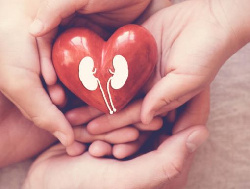 Getty Images 1130392754