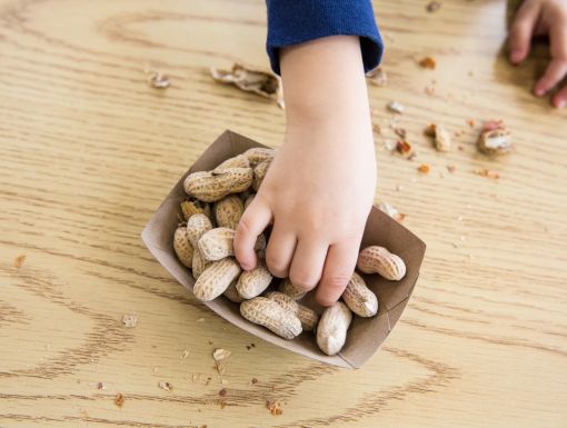 Child reaching for peanuts
