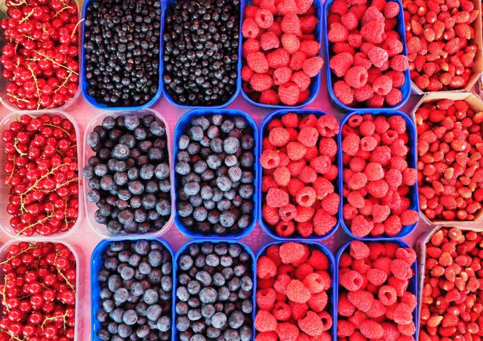 Antioxidant rich berries