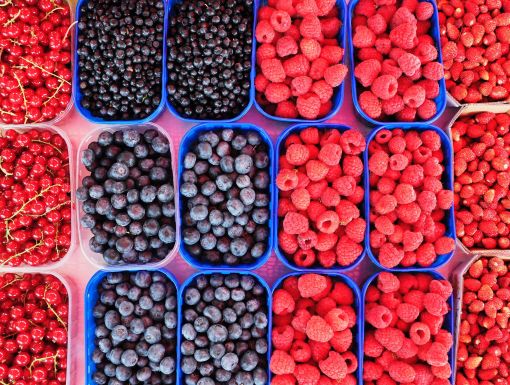 Antioxidant rich berries