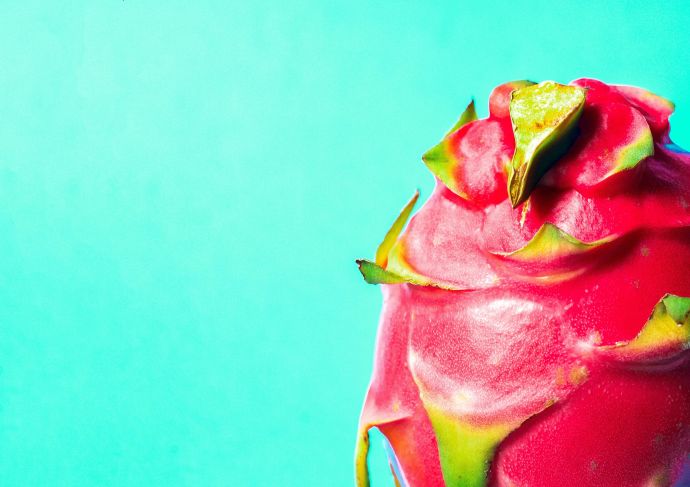 Red dragon fruit on teal background