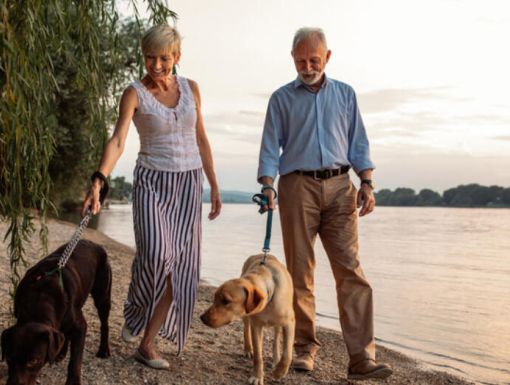 Cancer lifestyle genes bad luck