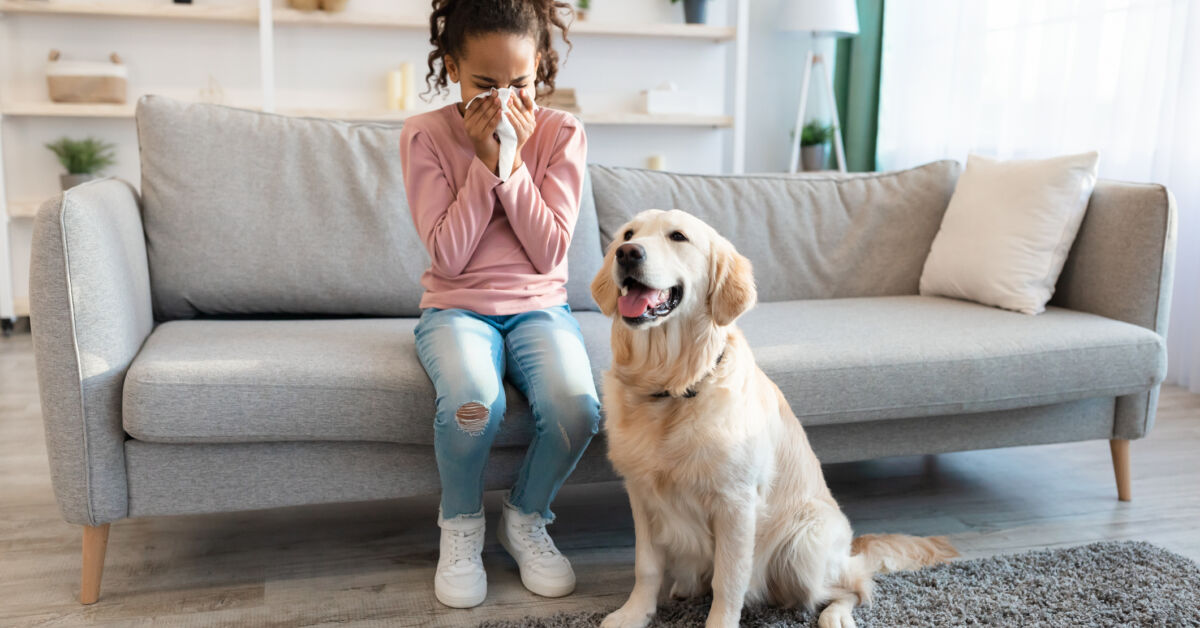 Symptoms of Dog and Cat Allergies Ochsner Health