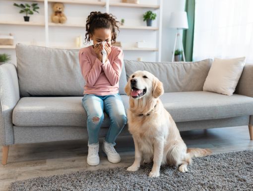 Pet allergies
