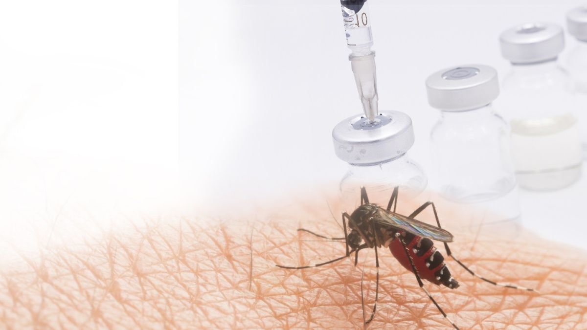 Thinkstockphoto  Yellow Fever Vaccine  Scaled