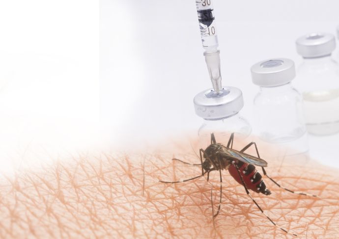 Thinkstockphoto  Yellow Fever Vaccine  Scaled