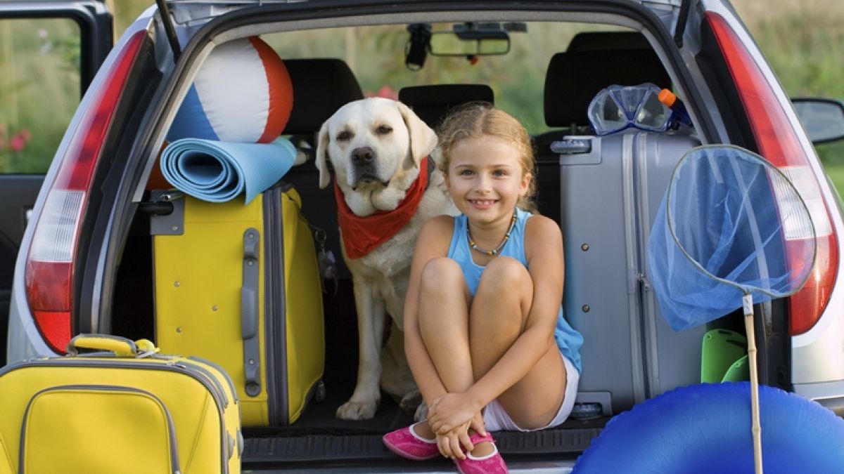Girl and a dog sitting around suitcases in a packed car