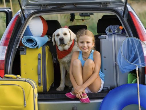 Girl and a dog sitting around suitcases in a packed car