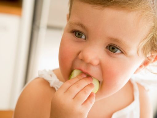 Thinkstockphotos 84469401