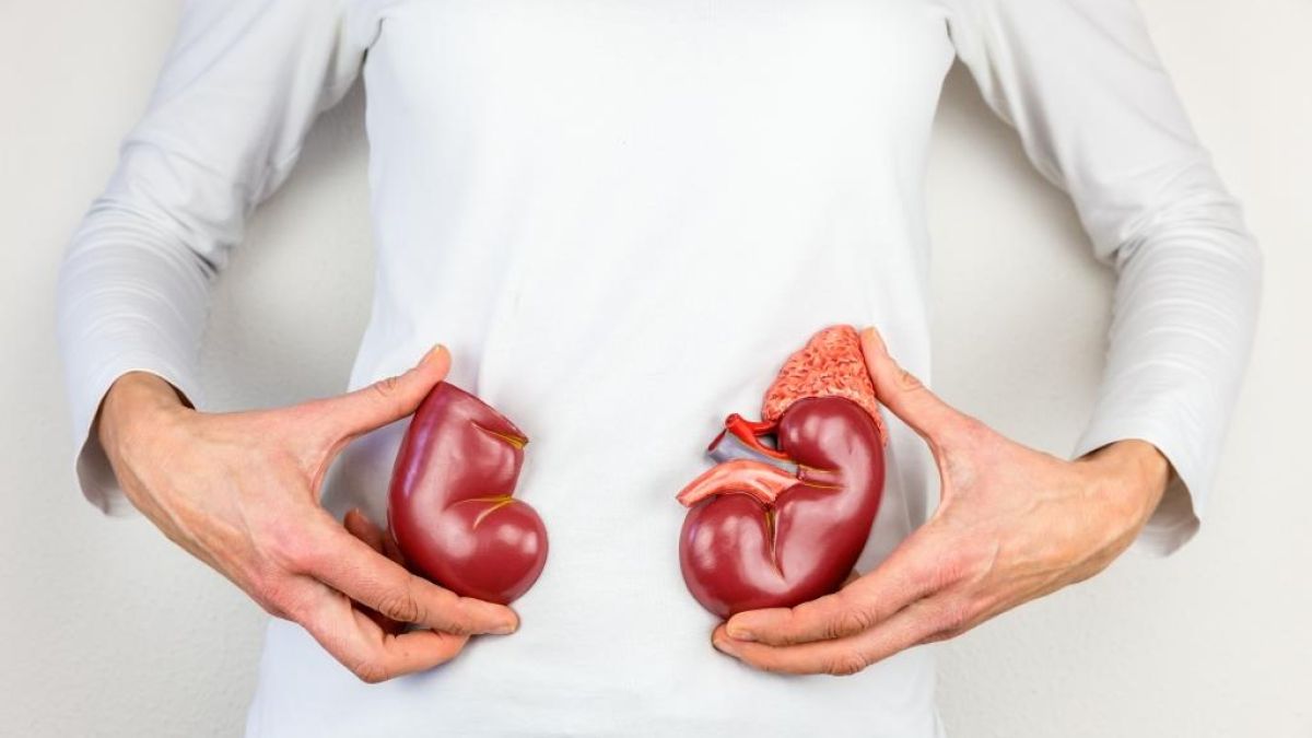 Thinkstockphotos 629358512 Kidneys