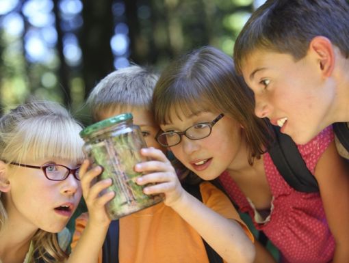 Thinkstockphotos 91704845 Children Looking At Bug In Jar
