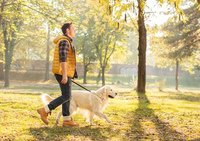 Thinkstockphotos 497710232 Man Walking Dog