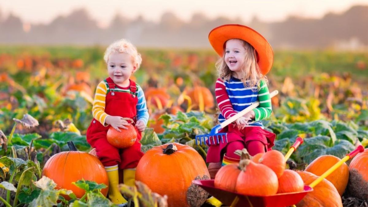 Thinkstockphotos 490303680 Kids Pumpkin Patch