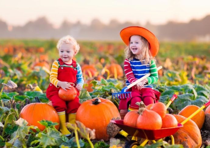 Thinkstockphotos 490303680 Kids Pumpkin Patch