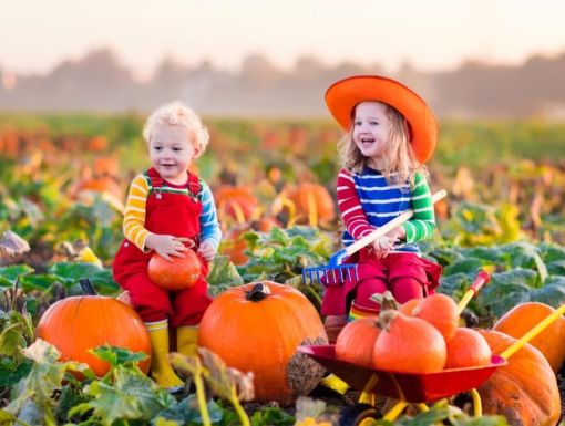 Thinkstockphotos 490303680 Kids Pumpkin Patch