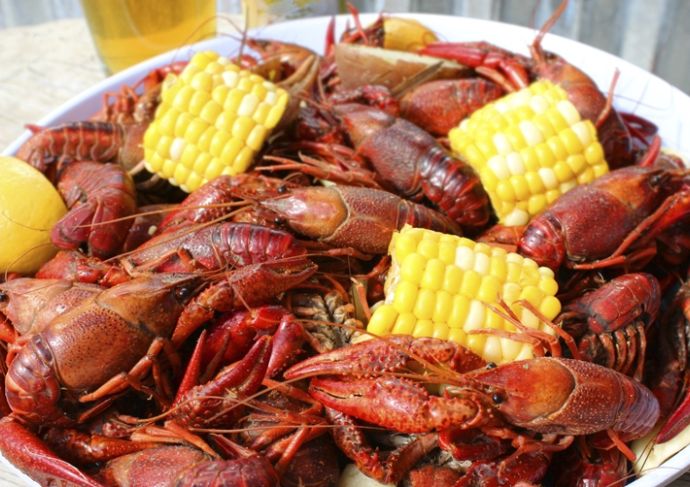 Thinkstockphotos 488101183 Crawfish
