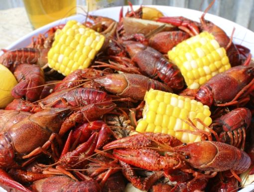 Thinkstockphotos 488101183 Crawfish