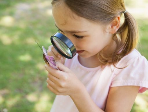 Thinkstockphotos 494378295 Girl Examining Butterfly