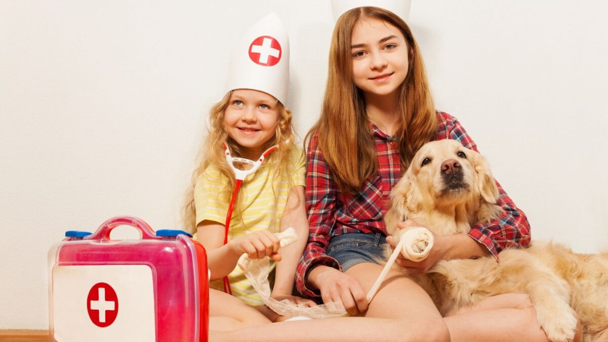 Thinkstockphotos 564572536 First Aid