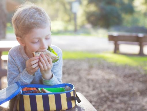 Thinkstockphotos 517494264 Kid Eating School Lunch