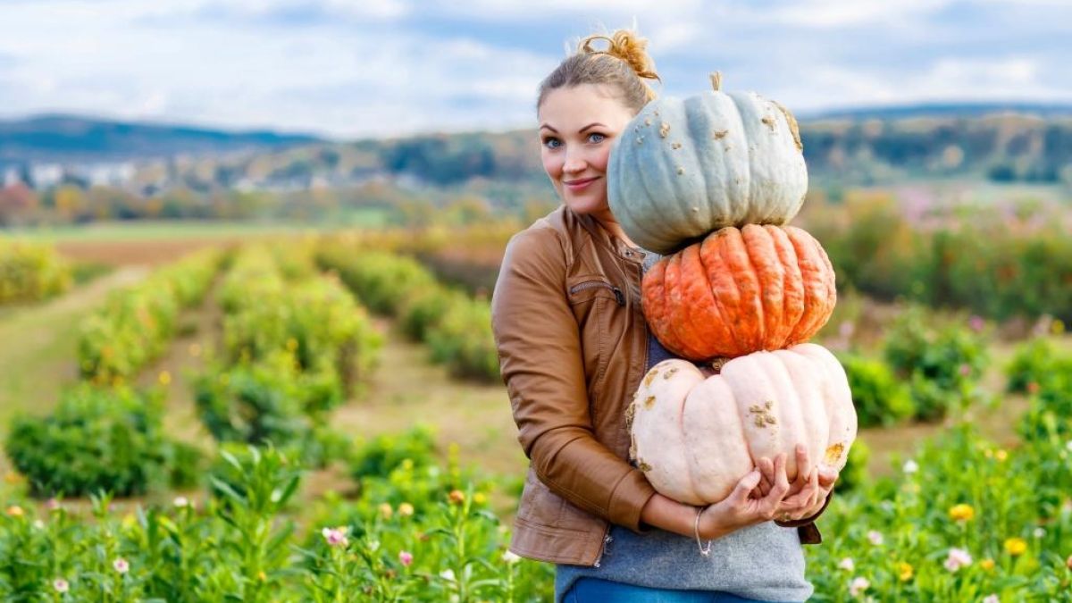 Thinkstockphotos 532350108 Woman Pumpkin Stack