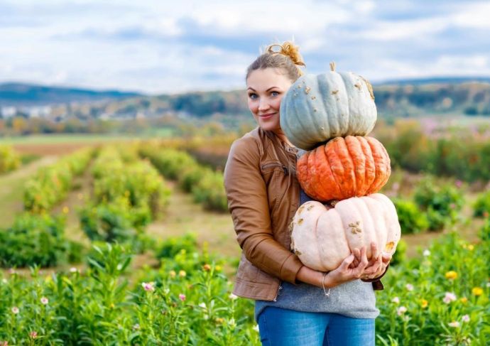 Thinkstockphotos 532350108 Woman Pumpkin Stack