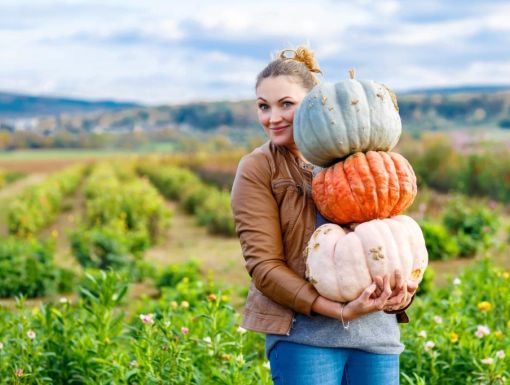 Thinkstockphotos 532350108 Woman Pumpkin Stack