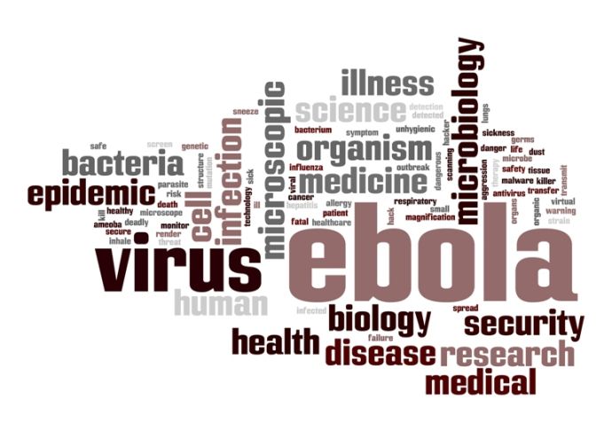 494839657 Ebola Word Cloud