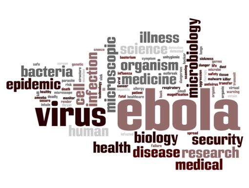 494839657 Ebola Word Cloud