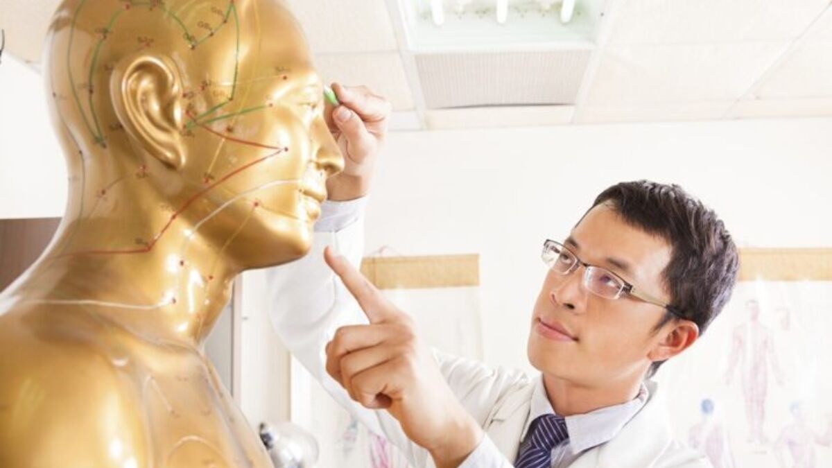 Doctor Pointing At Acupoints On Human Model