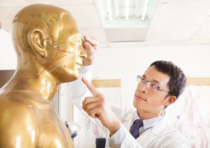 Doctor Pointing At Acupoints On Human Model