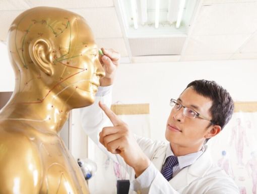 Doctor Pointing At Acupoints On Human Model