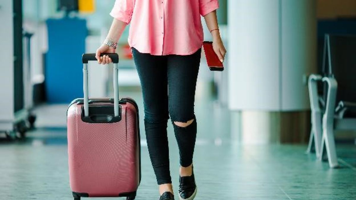 Airplane Passenger With Boarding Pass And Baggage Scaled